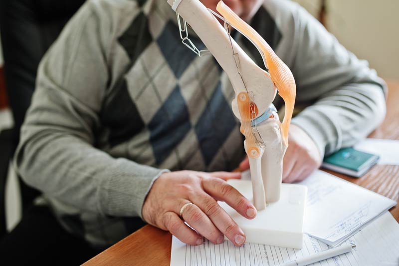 artificial human knee joint model in medical office