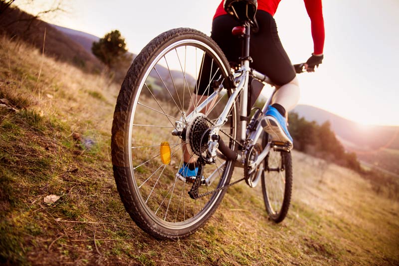 mountain biker